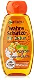 Garnier 2in1 Shampoo, mild, für Kinder, reinigt besonders schonend, brennt nicht in den Augen, ohne Parabene, ohne Silikone, Wahre Schätze, 1er Pack (1 x 250 ml)